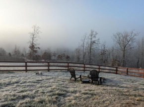 Pet-Friendly, GREAT Guest Suite with Private Entry & Deck! ONLY 25 Mins from Downtown Nashville!